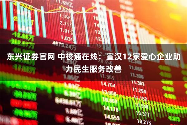 东兴证券官网 中梭通在线：宣汉12家爱心企业助力民生服务改善