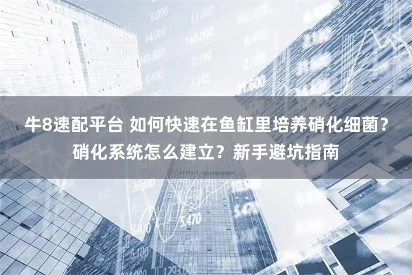 牛8速配平台 如何快速在鱼缸里培养硝化细菌？硝化系统怎么建立？新手避坑指南