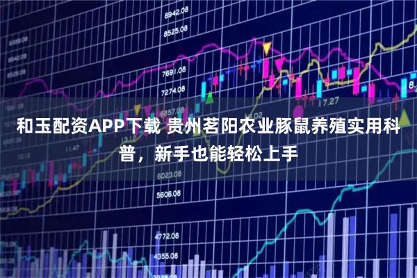 和玉配资APP下载 贵州茗阳农业豚鼠养殖实用科普，新手也能轻松上手