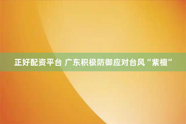 正好配资平台 广东积极防御应对台风“紫檀”